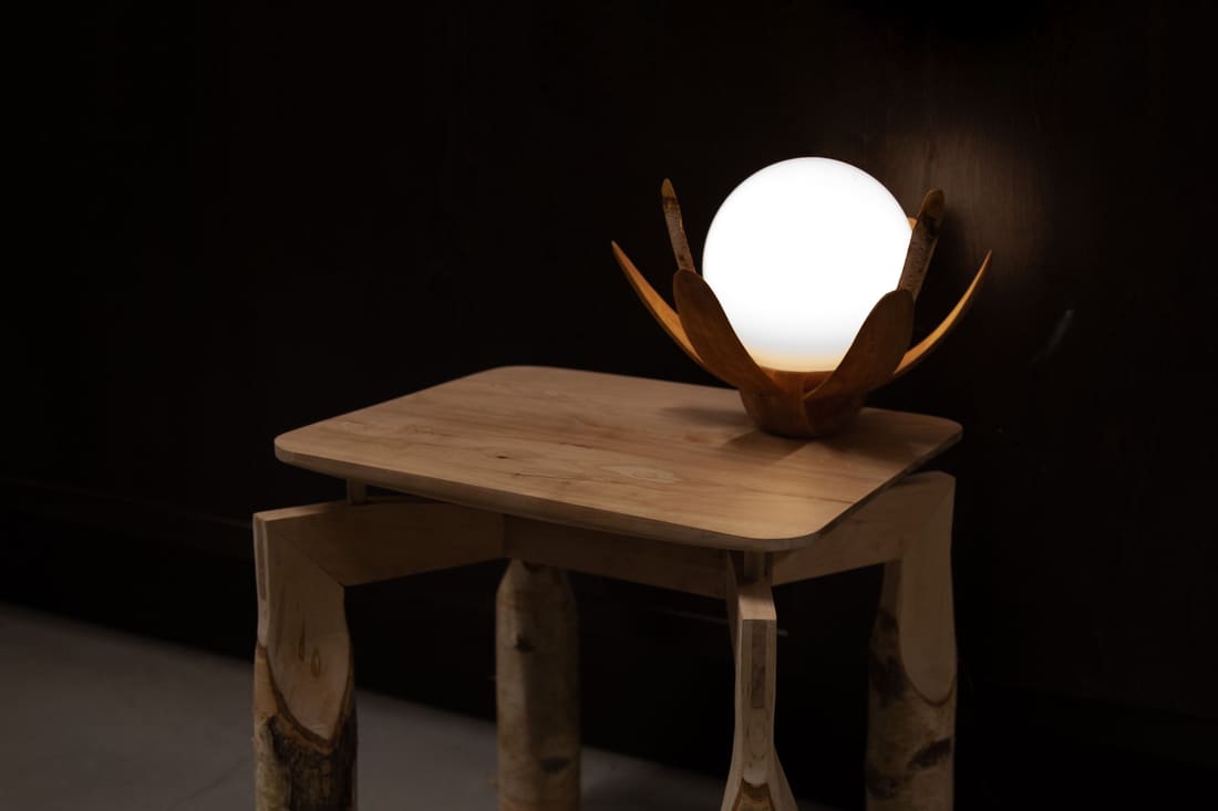 Exploration in Birch, the lamp
