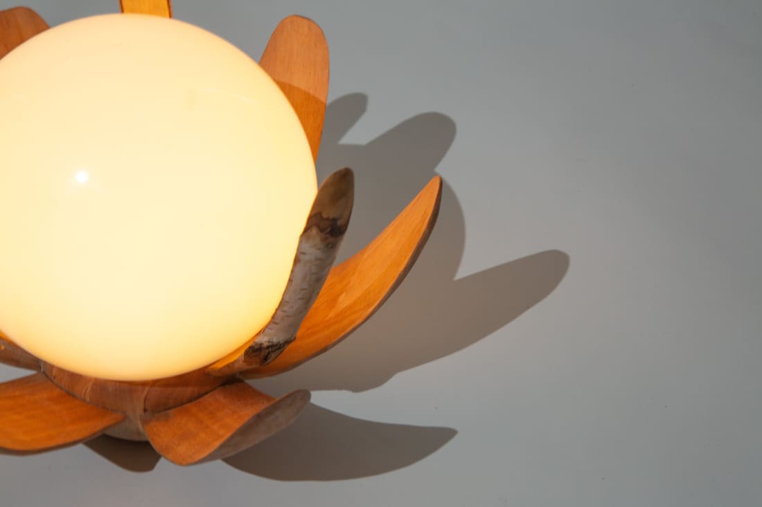 Exploration in Birch, the lamp